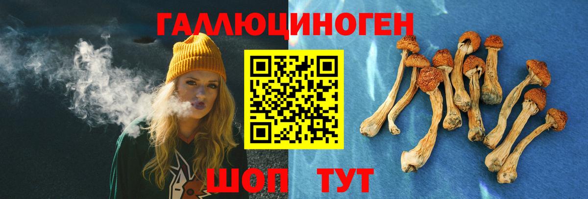 Псилоцибиновые грибы Psilocybe  Псилоцибиновые грибы ЛСД  Бахчисарай  Вход с VPN 